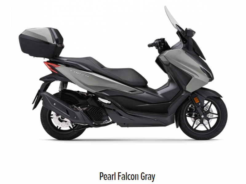 Honda Forza 125 / NSS 125 Honda Forza 125 / NSS 125